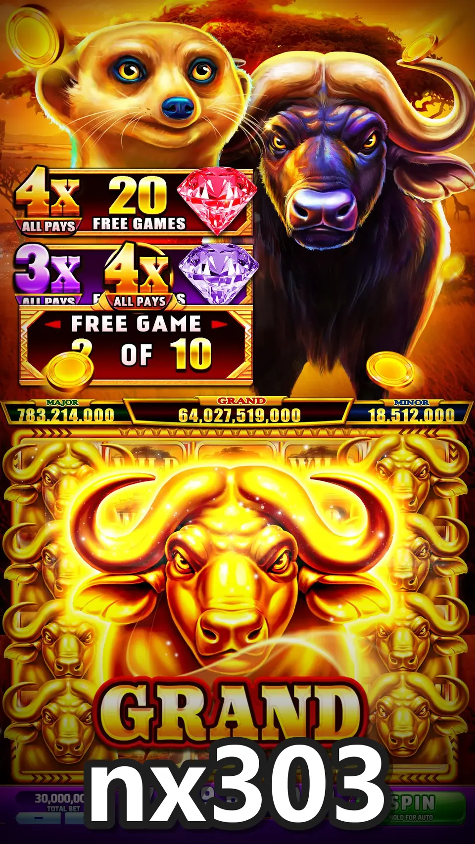 nx303 screenshot